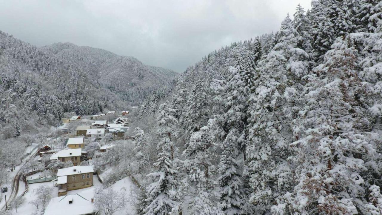 Serenity Likani Borjomi Bagian luar foto