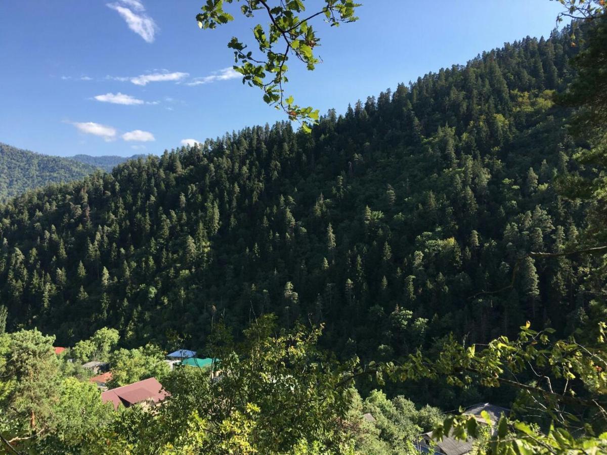Serenity Likani Borjomi Bagian luar foto