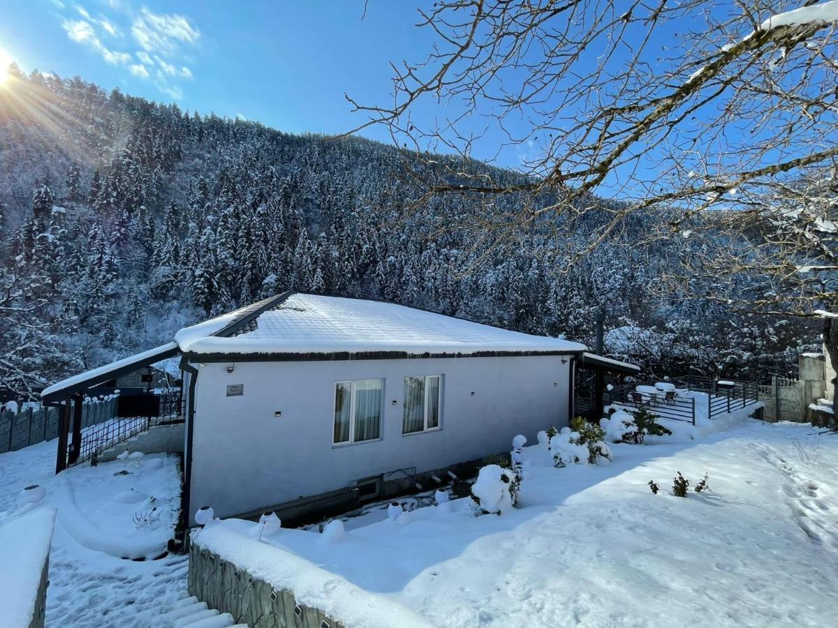 Serenity Likani Borjomi Bagian luar foto