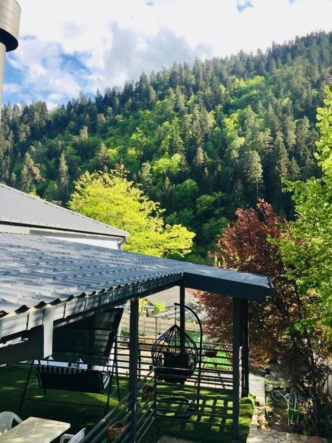 Serenity Likani Borjomi Bagian luar foto