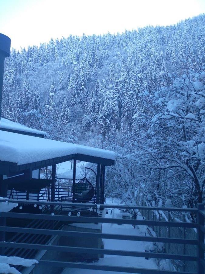 Serenity Likani Borjomi Bagian luar foto