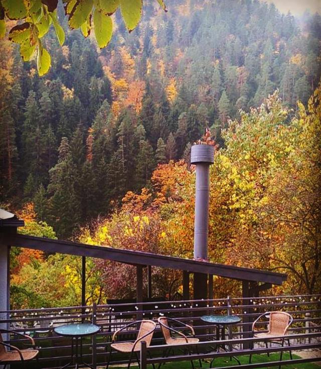 Serenity Likani Borjomi Bagian luar foto