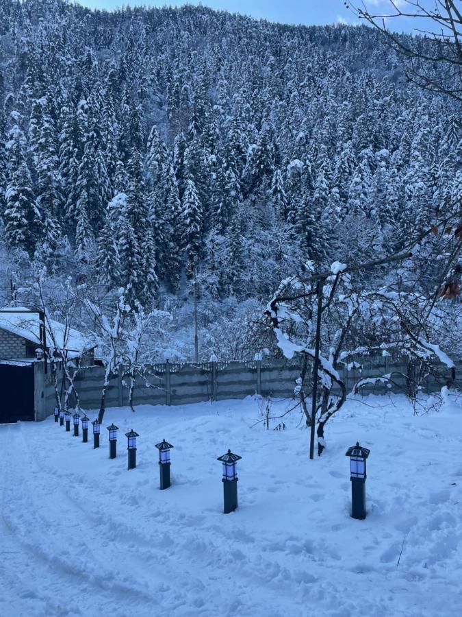 Serenity Likani Borjomi Bagian luar foto