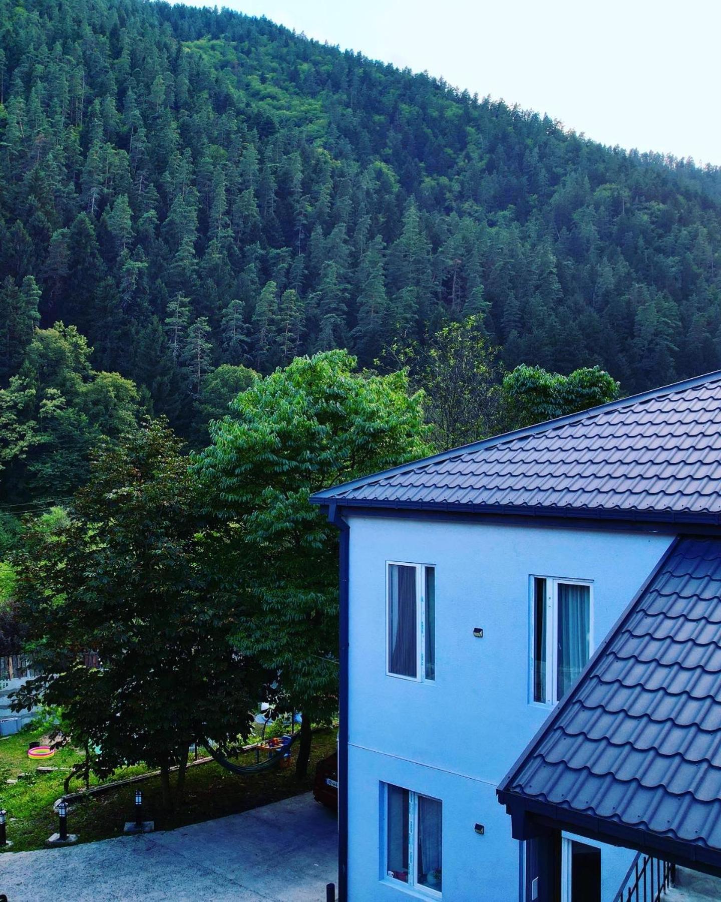 Serenity Likani Borjomi Bagian luar foto